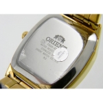 Часы Orient FFNAA001W